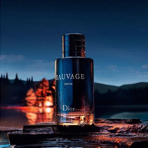 sauvage von christian dior|dior sauvage 100ml best price.